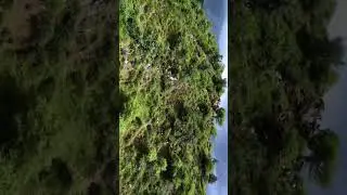 welcome to my mini blocks for wildlife #video #trending #youtubeshorts #funny #viral #viralvideo