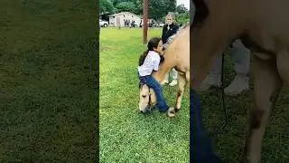 Friendship that needs no language 🥰🥹 #foryou #funny  #cuteanimal #pets #animals #fyp #cute #horse