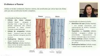 Bio 10º: Lição19 - O transporte nas plantas 1 – Conceitos gerais