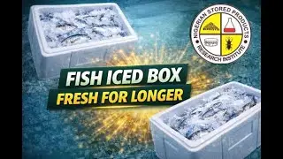 NSPRI Fish Iced Box | Preserving Fish for Longer Shelf Life