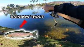 SAN DIEGO TROUT! | Santee Lakes Trout Fishing