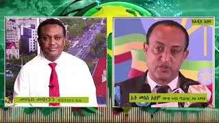 SAT Special interview with Ato Meles Alem Nov 2018.mpg