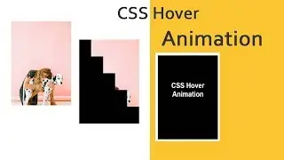 CSS Hover Animation Tutorial - CSS Image hover effects | csPoint CSS Hover Effects