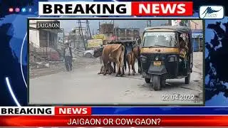Jaigaon or Gaigaon ( Village of cows)?