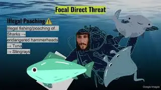 Cocos Project