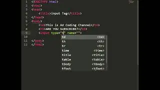 Input tas in html | Part 01 | Web development 2022 | New Website in 2021 |