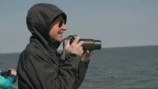 Cape Water Tours   Seal Watching 1