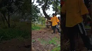 Індіана Джонс  
