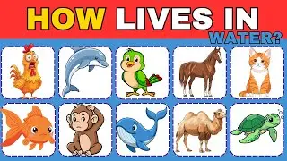 Which Animal Lives in Water?  | Fun Kids Quiz & Learning Game