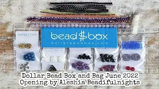 Dollar Bead Box and Bag June 2022 Opening