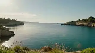 🎧 Cala Focus – Morning Calm 🌤️ Balearic Lo-Fi Focus Music (1.5 Hours)