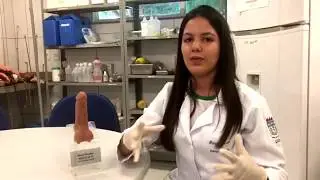 SEMIOLOGIA DO SISTEMA REPRODUTOR MASCULINO - ENFERMAGEM