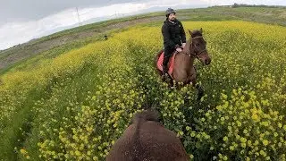 Spring Horseback Riding - Galloping in the blooming countryside - GoPro Hero 7