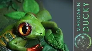 DIY: AMAZING ANIMAL EYES - from glass cabochons/  ポリマークレイ,폴리머 클레이