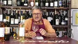 Vinonesto Langhe Arneis di Roberto Sarotto