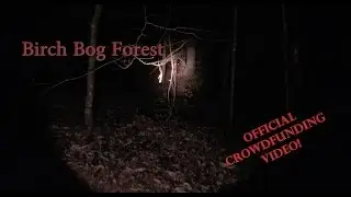 Березовый болотный лес &mdash; фильм, снятый в стиле &laquo;найденные кадры&raquo; [Видео о краудфандинге]