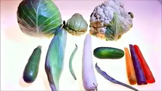 Learn Vegetable Names with Real Vegetables - For Babies Toddlers and Learning English Words ESL