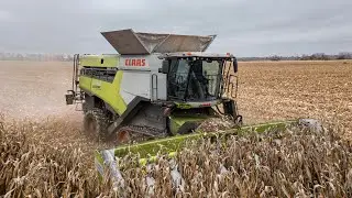AgroSpol Michalovce | kukurica na zrno | CLAAS Lexion 8700TT | DEMO MacDon C7508CF | Conspeed 12-75C