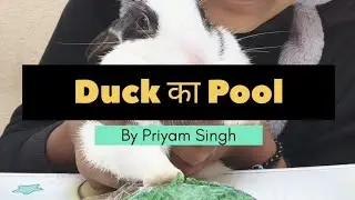 Duck ka Pool | DIY with Stone and Clay |
