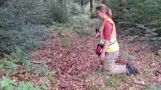 Festigung der Anzeige durch Anspringen, Ayla