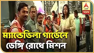 Reporter Stories: Dengue Combat Mission At Mandevilla garden