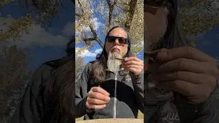 Jaw Harp Jam pluckin the Potkin #jawharp #mouthharp #theharpery #Potkin