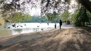 UK Landing - Battersea Park (SW11 4NJ) Walking Tour | London Lockdown | Feb 2021