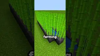 Minecraft Sugarcane Farm ⛏💎