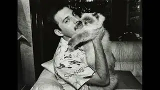 Freddie Mercury - Love Me Like There’s No Tomorrow [Slowed + Reverb]