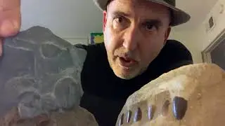 Fossil Hunt and Rock Types: Full Science Lesson