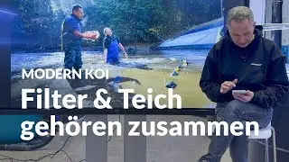 Winterbetrieb im Koiteich: Filter an oder aus? | Modern Koi Blog #7872