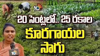 Growing 25 Types of Vegetables in 20 Cents | 20 సెంట్లలో.. 25 రకాల కూరగాయల సాగు | Matti Manishi
