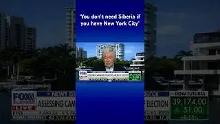 'Corrupt' NY judge, AG are 'methodically trying to destroy' Trump: Gingrich #shorts