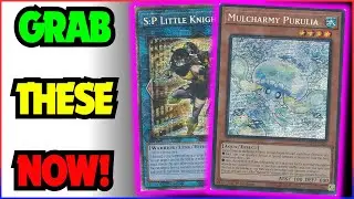 БЕСПЛАТНЫЕ ДЕНЬГИ! ПОЛУЧИТЕ ЭТИ ЛЕГКИЕ ПЕРЕПЕЧАТКИ YUGIOH ПРЯМО СЕЙЧАС! Yu-Gi-Oh! Обзор рынка