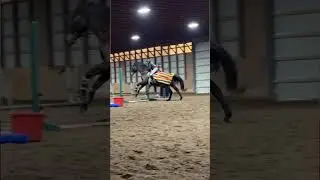No Stirrup Pole Work!! #horse #equestrianjourney #equestrian #horsefan #horsegirl #jumping #horses