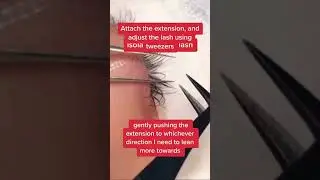 How to apply individual lashes close up - Individual Lashes tutorial