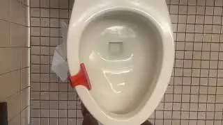 California #4 Barnes & Noble Women's Restroom