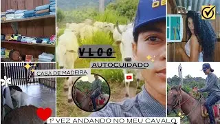 Um dia comigo no campo. Fui ver as novilhas, organizei a casa. 