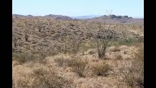 Off Grid Property Yucca AZ.