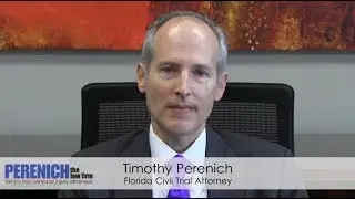 One Bite Rule | Tampa Bay Dog Bite Lawyers | Free Review