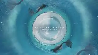 Solar Kid - Animal Needs