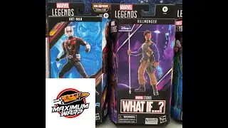 Toy Haul Oct. 5th 2024