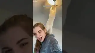 Funniest Cat ❤️ Cat videos Compilation 🐈&zwj;⬛ # Ep 4587