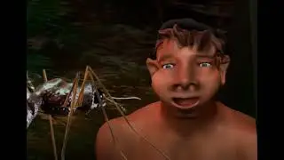 Insect Scene