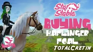 BUYING MY HAFLINGER FOAL (BUYING A NEW HORSE #9) (Star Stable)