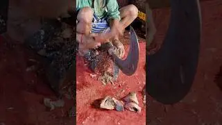 Amazing Big Telapia Fish Cutting skill. 🐠 #shorts #shortsvideo #telapiafish #real_firefish_cutting