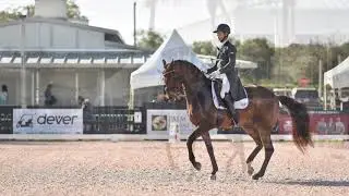 Leif and Scamp Intermediate II 2020 test 73.601%