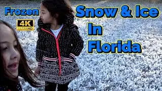 Florida Snow & Frozen Ice Orlando Record Breaking Temperatures | Freezing Arctic Blast | Feb 1, 2026
