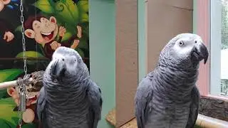 Lilo & Kutte aus die Maus