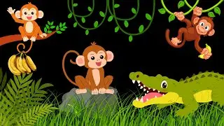 Sensory Videos For Babies - Monkey Jungle Fun - High Contrast Baby Sensory Videos Newborn #babyvideo